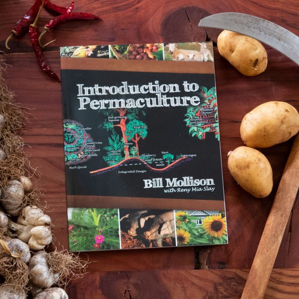 <em>Introduction to Permaculture</em>